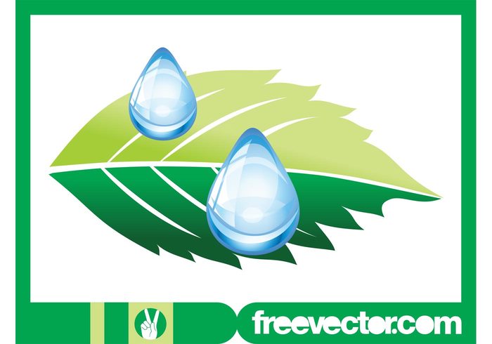 water tree plant nature leaf glossy ecology eco friendly eco drops droplets 