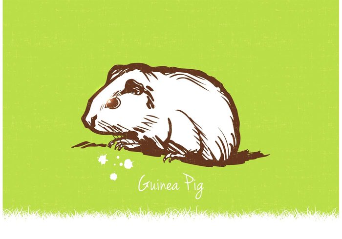 soft small rodent quirky pig pet mammal illustration house pet hand drawn guinea pig wallpaper guinea pig pet guinea pig background guinea pig guinea grunge green furry drawn cute cavy animal 