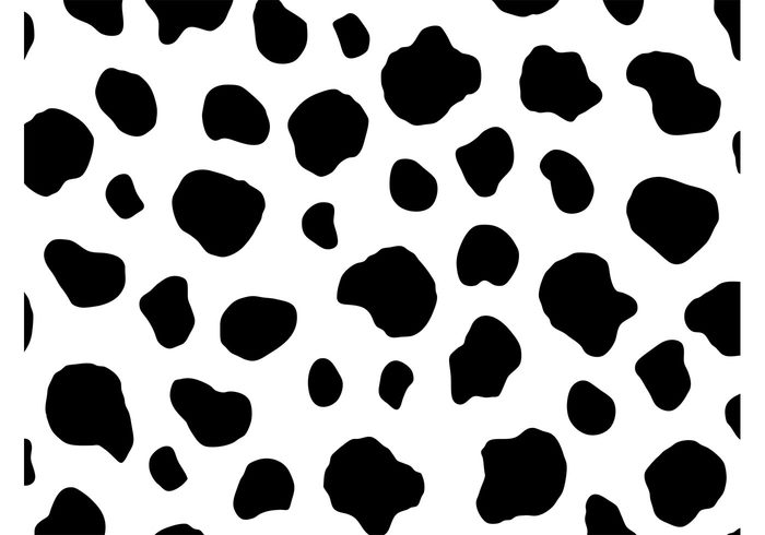spots Spot skin pattern nature Livestock fauna cow background animal print animal 