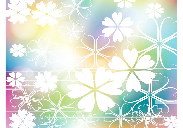 wallpaper rainbow petals nature Free Background flowers floral colorful blossoms background image 