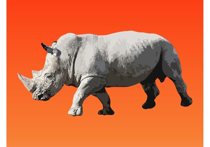 Zoo wildlife wild strong rhino realistic powerful nature mammal indian horn Giant danger creature big animal africa 