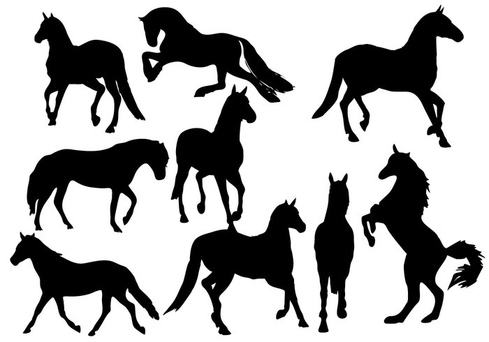 walk tail stallion run rearing Mustang mare mammal kick jumping isolated horse silhouette horse graphic galloping Gallop farm dressage design collection black animal 
