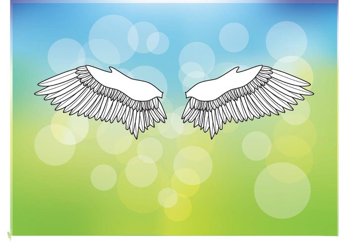 Wings vector Vector shape vector background summer spring modern flying fly feather emotion drawing beautiful 