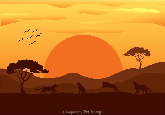 Zoo wild tree tiger silhouettes tiger silhouette tiger sun silhouette life landscape silhouette landscape land jump hill grass bird beast animal afternoon african landscape africa 