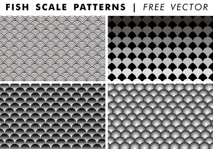 white shapes scale rounded Repetitive Patterns pattern free fish scale pattern vector fish scale vector fish scale patterns fish scale pattern fish scale free vector fish scale fish circles black white black 