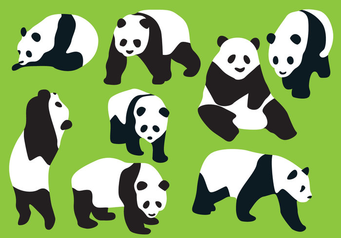 panda character panda cartoon Panda bears panda bear vector panda bear panda chinese animal chinese china black and white bears bear vectors Bear vector bear character bear cartoon bear 