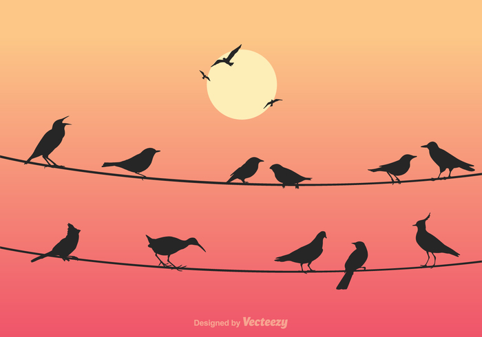 wires wire vector valentine together sweet sunset sun style silhouette seasonal season romantic Outdoor night nature natural love holiday happy happiness greeting festival design decorative decoration day creative cover couple celebration celebrate card birds on a wire bird art animal  