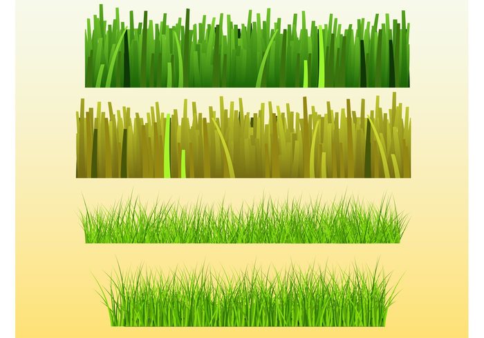 plants park nature green Grass vectors Grass graphics garden frame ecology brush botany Backgrounds agriculture 