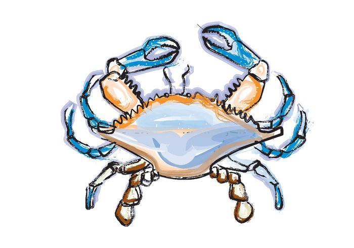 nature food Blue Crab 