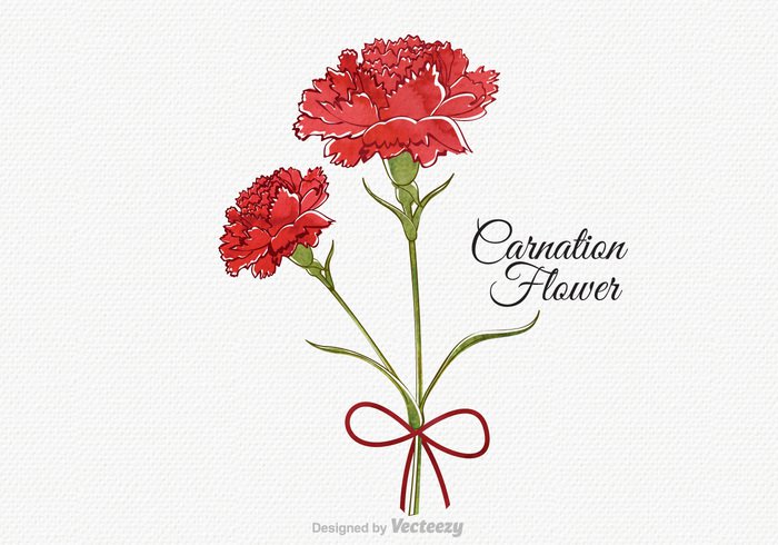 watercolor wallpaper vintage vector valentine symbol summer style spring Single season retro red print plant paint nature leaves isolated invitation image illustration greeting green garden fresh flower floral flora drawn design decoration day creative color classic celebration carnation card bud brochure bow birthday beautiful background art 