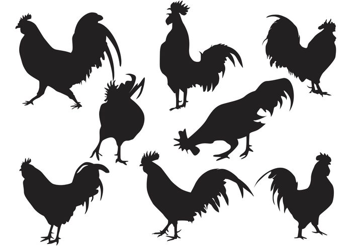 weathercock silhouette roosters rooster silhouettes rooster silhouette rooster Hen farm animal farm cock chickens chicken chick birdie beak Avian animal 