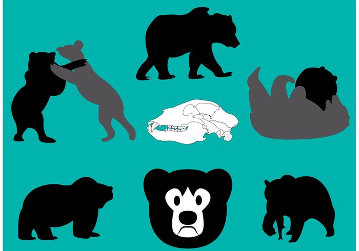 wildlife wild silhouette scary predator nature mammal isolated Grizzly bear Grizzly fur Dangerous Claw Carnivore californian bear californian brown bear black bear big bear animal angry 