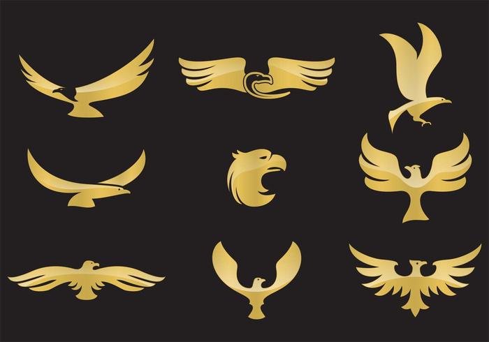 wing USA symbol sign power Patriotism nobility mascot Majestic insignia Independence heraldry heraldic head hawk golden eagle freedom Force flying feather falcon emblem eagle Courage Claw bird beak animal american 