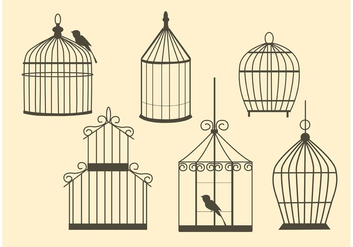 vintage bird cages vintage bird cage vintage retro bird cage ornate old isolated freedom fly empty decorative captive cage birdcage bird 