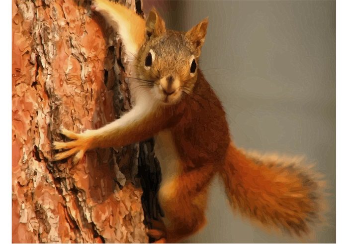 vector tree squirrel rodent orange nuts nature funny Climbing tree climbing Chipmunk animal 