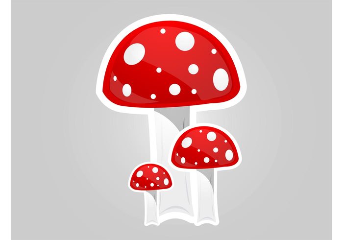 T-shirt print Stems Stalks Shrooms Poisonous mushrooms nature forest food Edible mushrooms dots comic Caps 