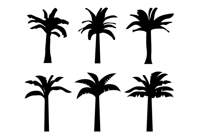 trunk tropical silhouette plant Outdoor living leaf isolated graphic fruit food flora exotic element bunch black banana tree banana  