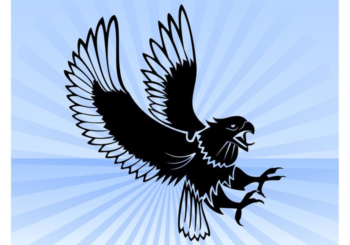 wings wind wild USA Talons symbols Soar patriotic freedom fly feathers eagle birds animal vector america 