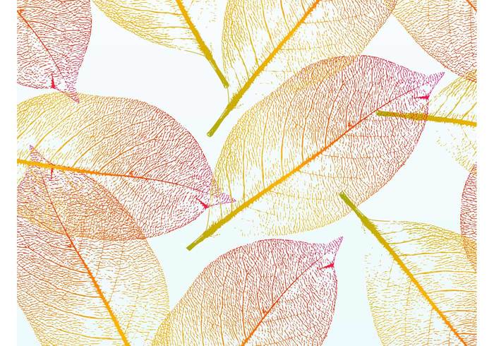 Warm tones veins tree transparent plant nature minimal leaf greeting card gradient Fall colorful 