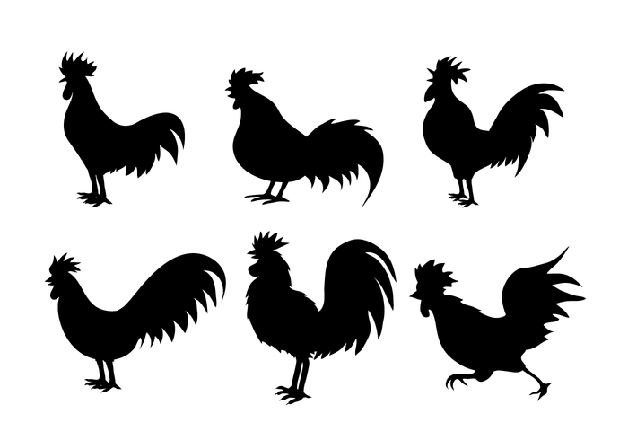stand silhouette side view rooster hens hen silhouette farm animals farm animal chickens chicken silhouettes chicken silhouette chicken black animal silhouettes animal silhouette 