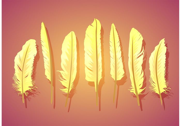 wings wildlife vector illustration of feather organic isolated feather isolated feathers feather set feather collection feather bird of a feather bird feather bird animal 