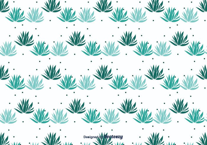 vector succulent set plant pattern nature natural maguey pattern maguey background maguey illustration Herb hand drawn maguey hand drawn foliage flora desert collection cactus agave 