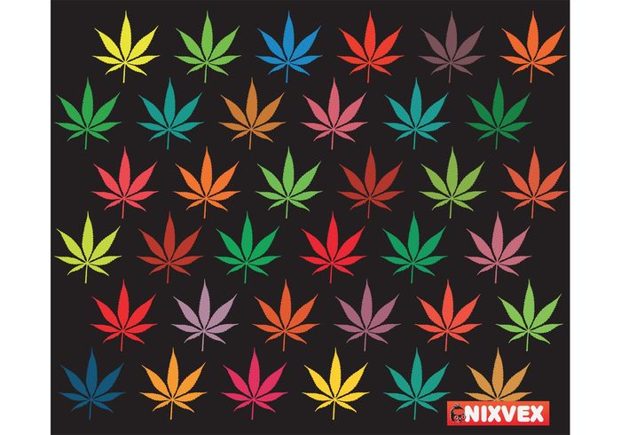 marihuana leaves background 