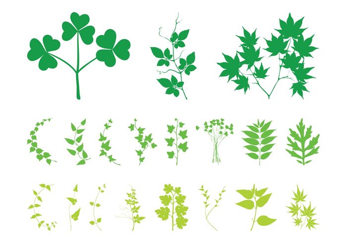 swirls spring silhouettes plants plant nature Marijuana leaves leaf ivy Climbing plants branches 