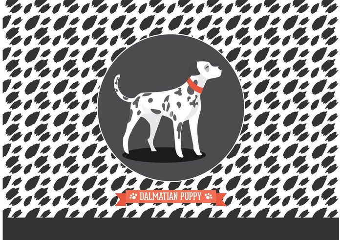 young vector Staring standing Spot red puppy picture pets Pedigree paw Mammals illustration graphics drawing Domestic dog designs dalmatic dalmatian puppy dalmatian cute collar clipart cheerful character cartoon Canine artworks animals 