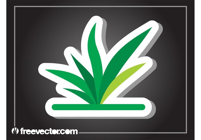 stylized sticker plant nature leaves leaf floral flora ecology eco badge Aloe vera 
