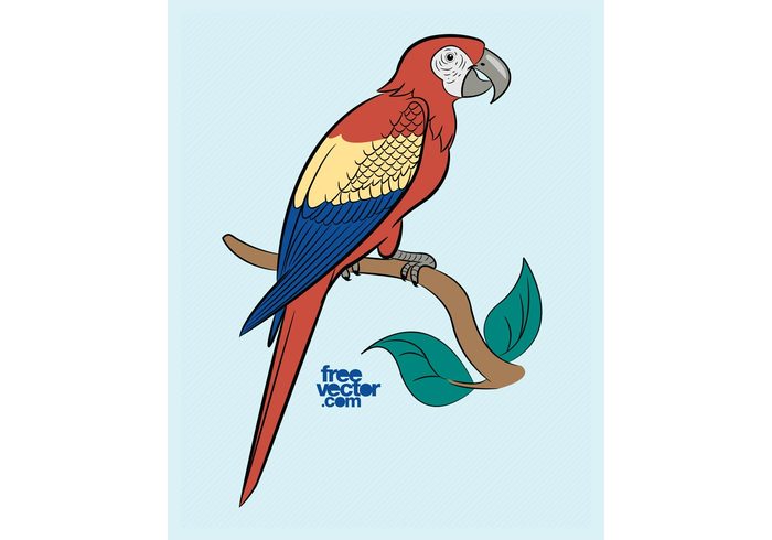 wings tree tail Scarlet macaw parrot nature Macaw leaves feathers branch bird beak animal 