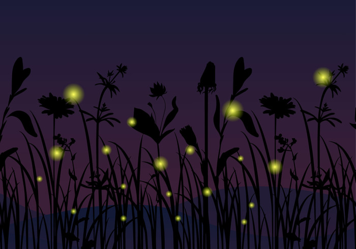 silhouette night mystical landscape mystic landscape moon light insect grass floral firefly bulb animal 