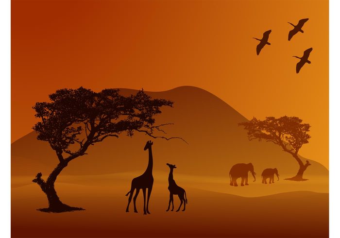 wildlife trees silhouettes safari nature hill giraffes Faun elephants animals african africa 