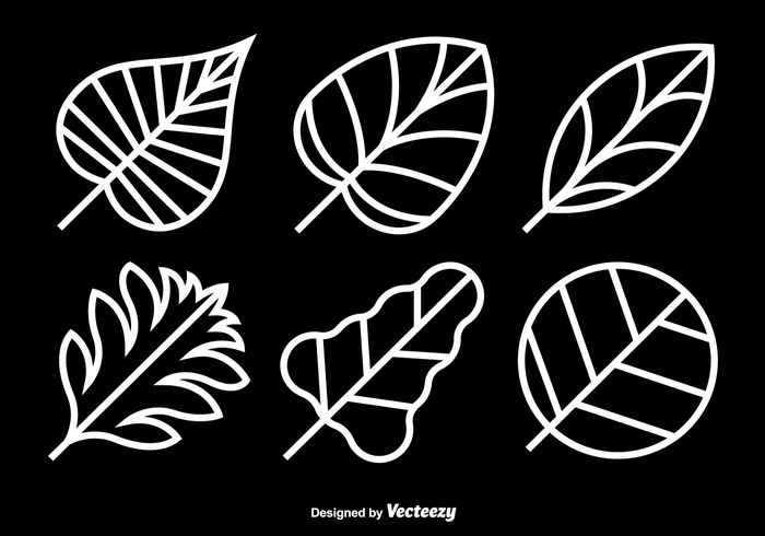 white weed thin silhouette set season plant oak nature natural Marijuana maple line leaf icons flora element ecology botany abstract 