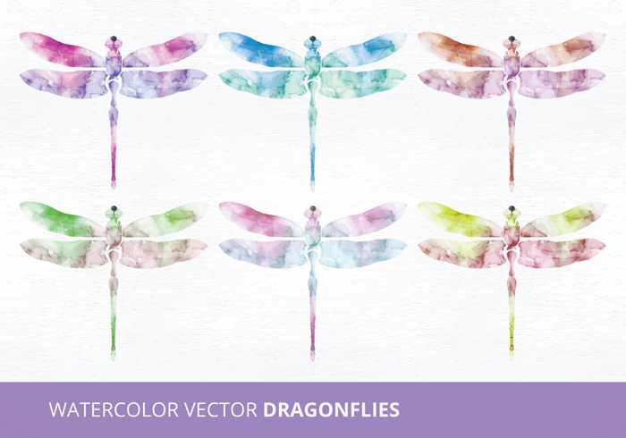 watercolor vector watercolor objects watercolor insects watercolor dragonfly watercolor dragonflies watercolor purple pink painted insects painted dragonfly painted objects object nature insects insect illustration elements dragonfly dragonflies 