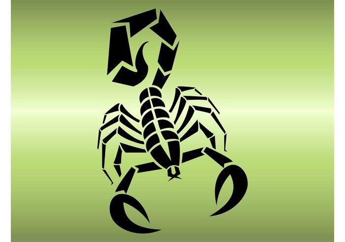 template stinger sting sticker silhouette shapes Scorpion vector Poisonous poison decal Dangerous claws abstract 