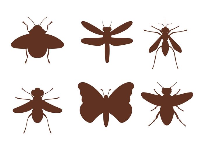 insects insect silhouette insect fly dragonfly butterfly bugs bug silhouette bug bee animal silhouette animal 