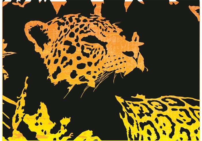 Zoo Wildcat USA Rainforest leopard Jaguar Vector jaguar Feline Dangerous Central America animal Amazon 