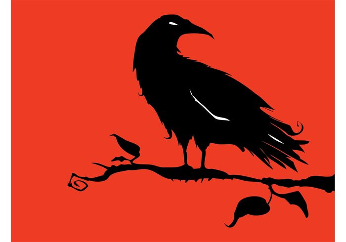wings tree Superstition silhouette scary raven nature leaves halloween death crow branch bird beak animal 
