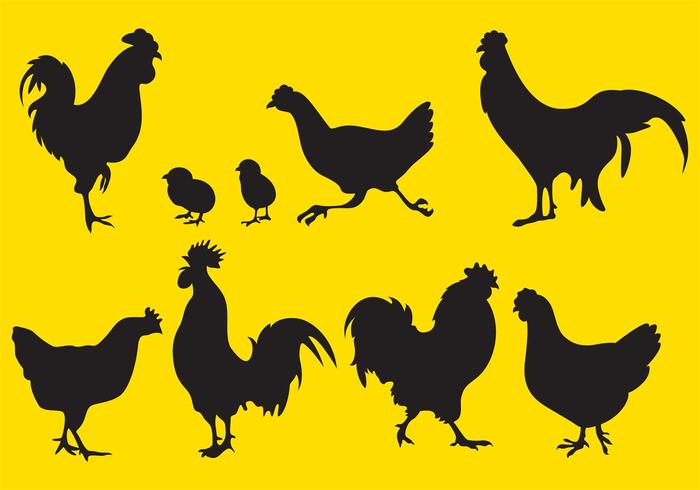 wings silhouette rural roosters rooster silhouettes rooster silhouette range poultry meat Livestock hens hen silhouette feathers farm Domesticated Domestic cockerel cock chickens birds beak animals agriculture Agricultural 