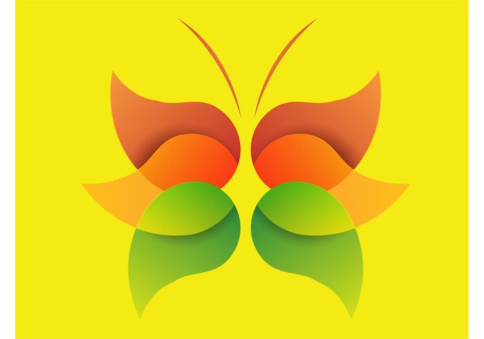 wings summer spring simple shapes minimal insect flying colorful butterfly vector bold artistic antennae abstract 