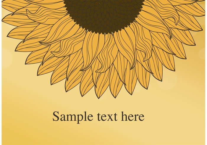 sunflower wallpaper sunflower seed sunflower background sunflower summer sketchy seeds seed plant petals nature natural growth garden flower seeds flower seed flower floral flora doodle botanical blossom blooming background agriculture 