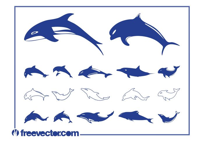 swimming swim silhouettes silhouette sea Orcas orca ocean marine killer whale dolphins dolphin Aquatic animals animal 