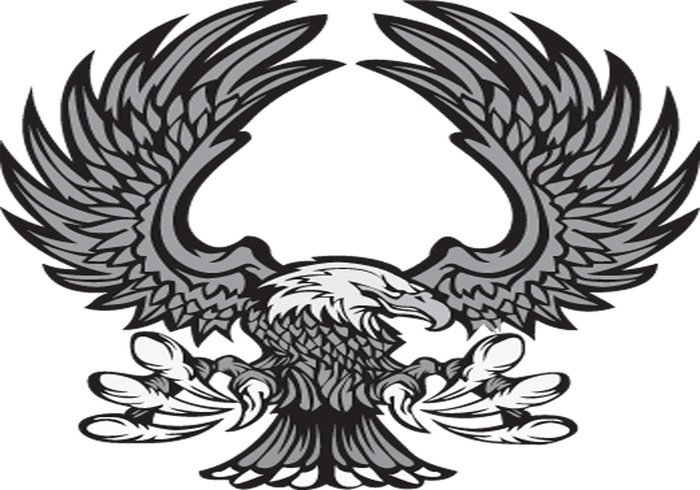 wings USA mascot logo golden eagle eagles eagle mascot eagle claws bird bald eagle animal america 