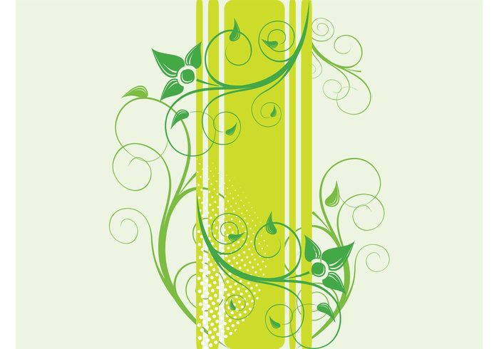 swirls Stems rectangular Rectangles plants nature lines linear leaves flowers ecology dots decorations banner 