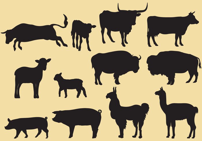 Zoo wool wildlife wild white vicuna vector symbol standing silhouette set peru painting nature mammal llama Lama isolated illustration icons Herbivorous hairy guanicoe guanaco graphic furry fur fluffy drawing Domestic detailed design cute cut creature collection character cartoon black background animal andes america alpaca 