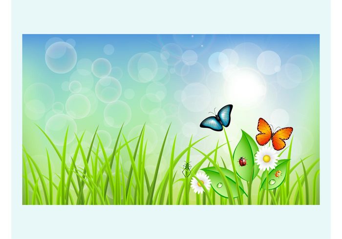 sunny Stems spring season plants petals paradise nature light insects greeting card grass flower cricket butterflies bokeh 