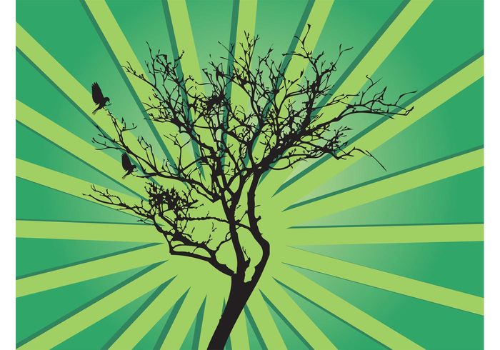 trunk tree starburst silhouettes rays plant leaves branches birds background animals abstract 