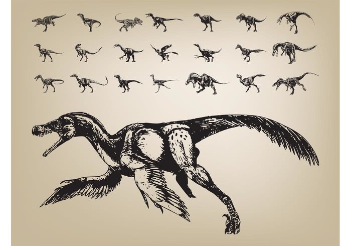 Tails science Reptiles prehistoric Paleontology nature hand drawn Extinct Dinosaurs dinosaur animals 