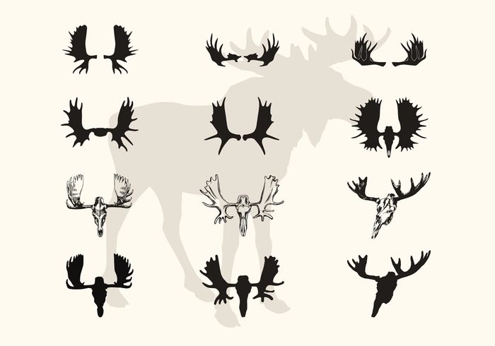 zoo animal Zoo wild animal wild snow silhouettes silhouette Moose Skull moose silhouettes moose silhouette Moose Head moose flat elk silhoeutte elk drawing deer Cold Wheather cold antlers antler animal Alces 